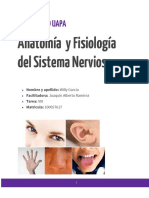 Tarea VIII de Anatomia y Fisiologia Del Sistema Nervioso