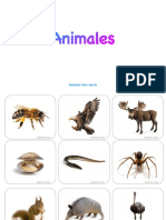 Vocabulario Animales