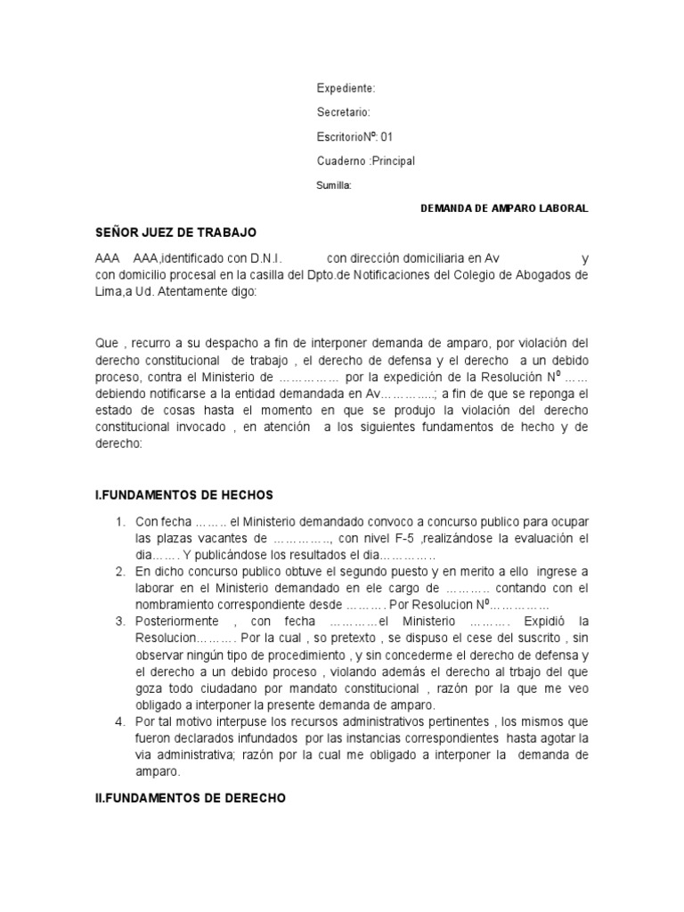 Demanda de Amparo Laboral | PDF | Debido al proceso | Demanda judicial