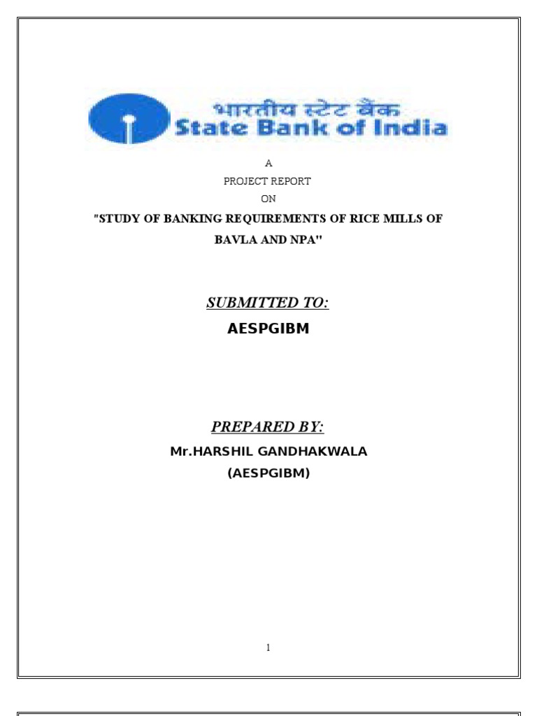 Banking Requirement of Rice Mills of Bavlca and Npa. | PDF | Online ...