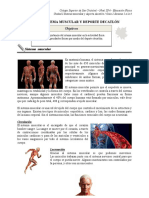 Educación Física - Nivel III-6 - Semana 1-4