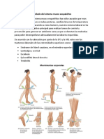 Actividad 2 Anatomia