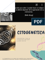Citogenetica Grupo 4