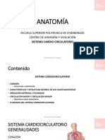 Sistema Cardiocirculatorio