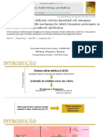 Ferroptose e diferenciação osteogênica em VICs deficientes em Slc7a11