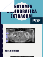 Anatomía Radiográfica Extraoral: Estructuras Anatómicas Clave
