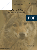 Trabalho de Biologia Sobre o Lobo Ibérico
