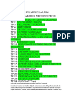 Infarto de Intestino Delgado o Enfermedad Isquémica Intestinal