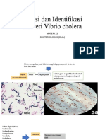 MATERI 12, Vibrio Cholera SP, Bakteriologi II (Dua), Agus Sudrajat, S.Si, M.T