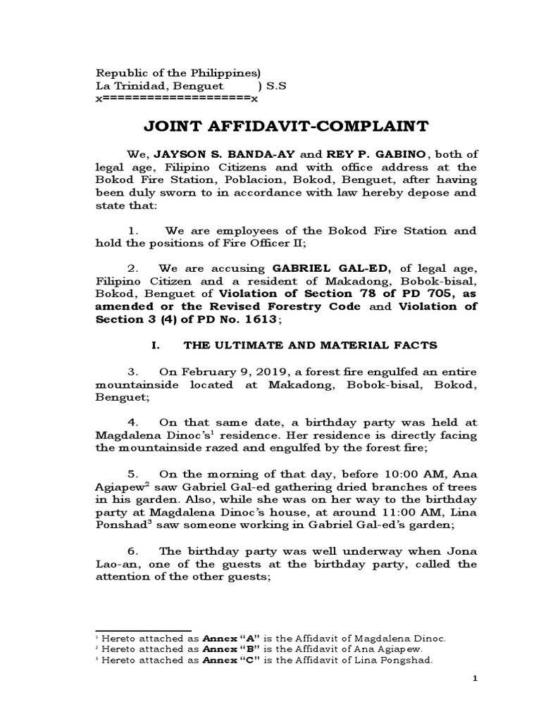Joint affidavit complaint sample pdf