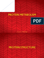 Protein Metabolism