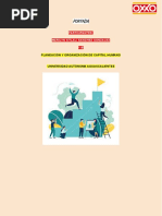 Organigrama y Estructura de OXXO | PDF