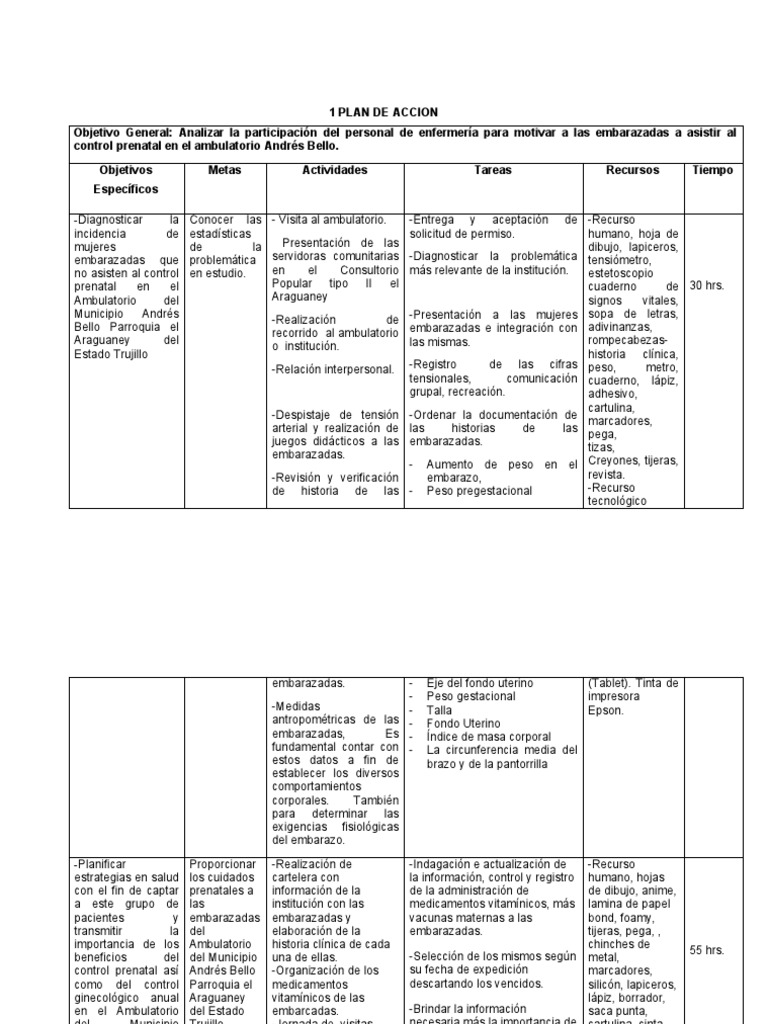 Plan de Acción para Control Prenatal | PDF | El embarazo | Salud maternal