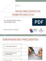 1 - Teoria Emergencias - DM Final