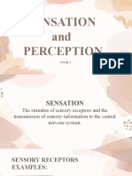 Sensation and Perception Group 3