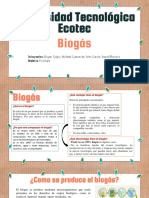 Biogás Ecologia