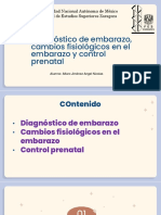 Embarazo, cambios fisiológicos y control prenatal