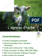 L'agneau D'herbe: Licence Professionnelle DVPE Promotion 2005/2006