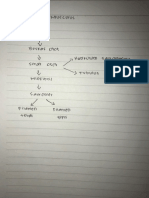 Biokimia Pada Sistem Otot (Musculus), Bu Era