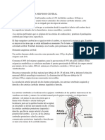 Arterias Del Sistema Nervioso Central