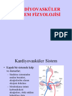 Kardiyovasküler Sistem Fizyolojisi