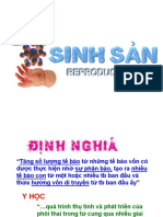 Hệ sinh sản