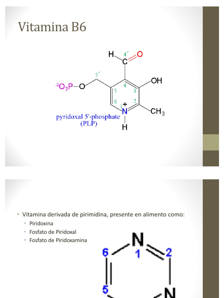 Vitamina B6 Bioquímica Biología