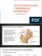 Movimiento Articular de Miembros Inferiores 1