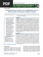 015+AO+klikpo+Cannabis_Amphétamines_Bénin