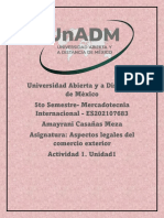 Iace U1 A1 Acm