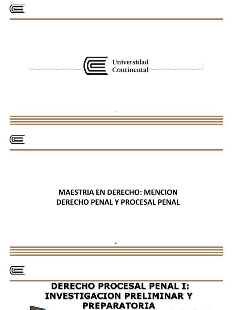 Investigación Preliminar en Derecho Penal | PDF | Procedimiento ...