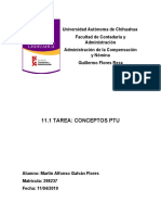 Tarea 11.1 - Conceptos PTU