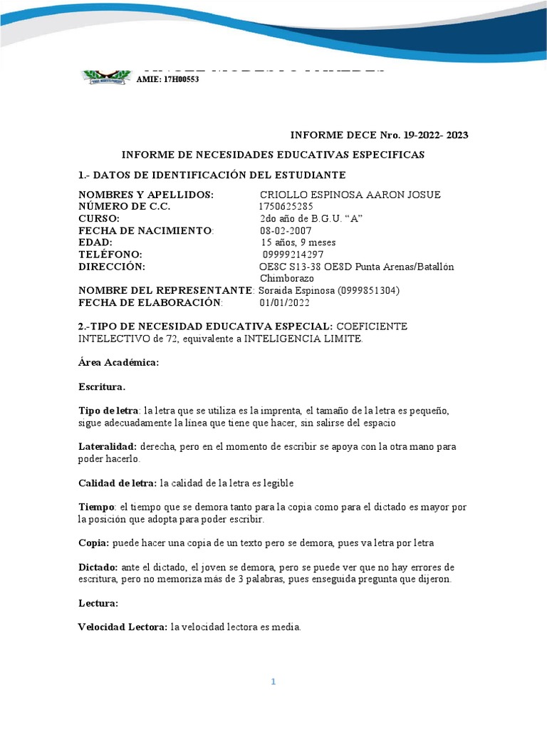 Informe NEE | PDF | Evaluación | Plan de estudios