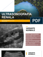ULTRASONOGRAFIA RENALA (1) - 2020