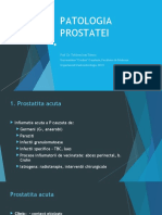 Ecografia Prostatei - 2020