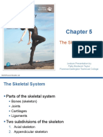 CH 05 Lecture Presentation Skeletal-System