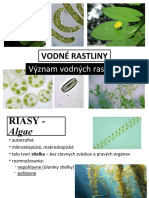 Vodné Rastliny