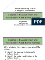 5 Balance Sheet and Statement of Cash Flows Systems 2