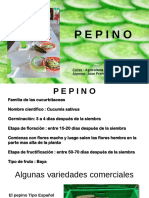 Pepino Presentacion Juan Marrero
