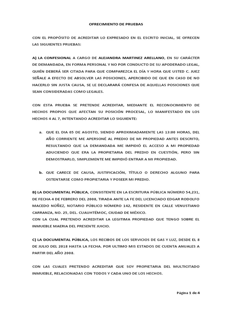 Ofrecimiento de Pruebas CDMX | PDF | Justicia | Crimen y violencia