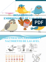 Desarrollo Embrionario de Las Aves