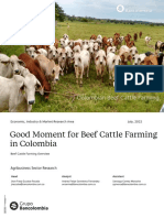 Colombian Cattle Farming Sector Outlook 2022 1659444603