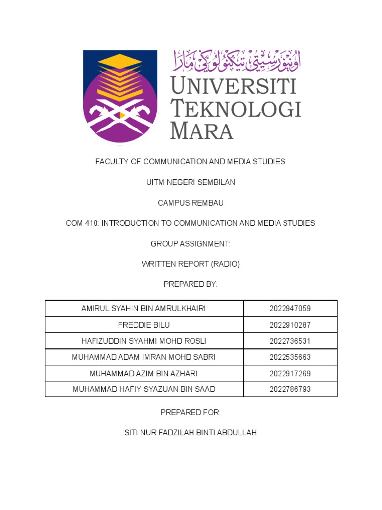Radio Media Consumption Analysis Report | PDF | Mass Media | Radio