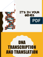 Unit 2 - Genetics - LO4 DNA Transcription, Translation and Mutation