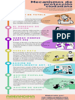 Infografía Mecanismos de Protección - EJE 4 CONSTITUCIÓN