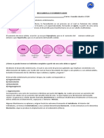 4 Medio - Electivo Formación Capas Embrionarias. 4 Medio CGO - 2020docx