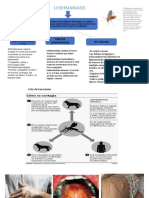 LEISHMANIASIS