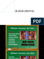 Fisiología Renal