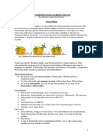 Antibióticos Bacteriostáticos Tetraciclinas