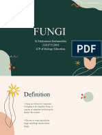 Fungi Kingdom Overview: Characteristics, Structure, Reproduction and Classification